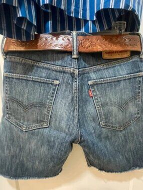 Levi’s 511 Shorts Size 32 waist Cute!